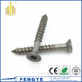 Stainless steel wooden screw torx tapping screw